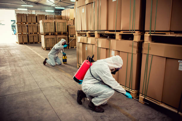 Best Emergency Pest Control  in Townsend, DE