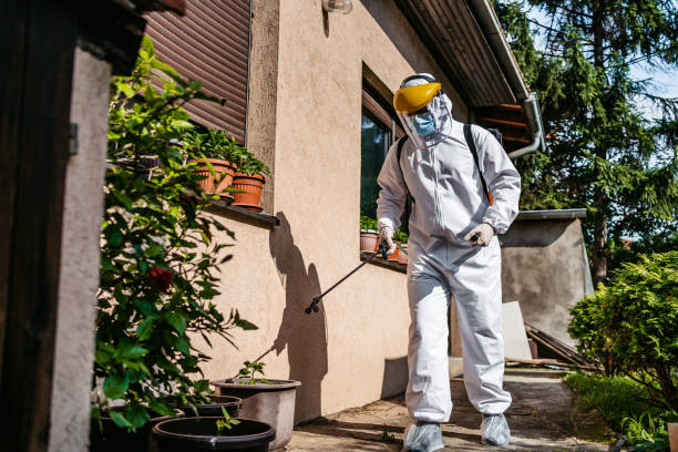 Best Pest Prevention Services  in Townsend, DE