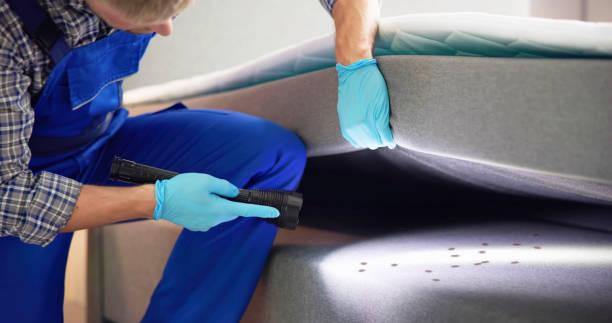 Best Rat Extermination Near Me  in Townsend, DE
