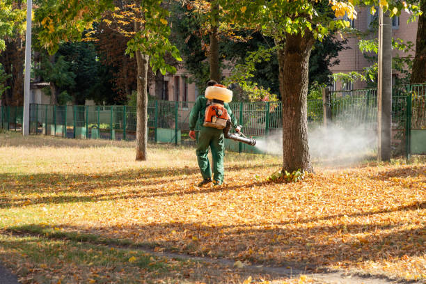 Best Pest Removal Services  in Townsend, DE
