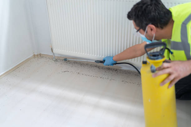 Best Bed Bug Extermination  in Townsend, DE